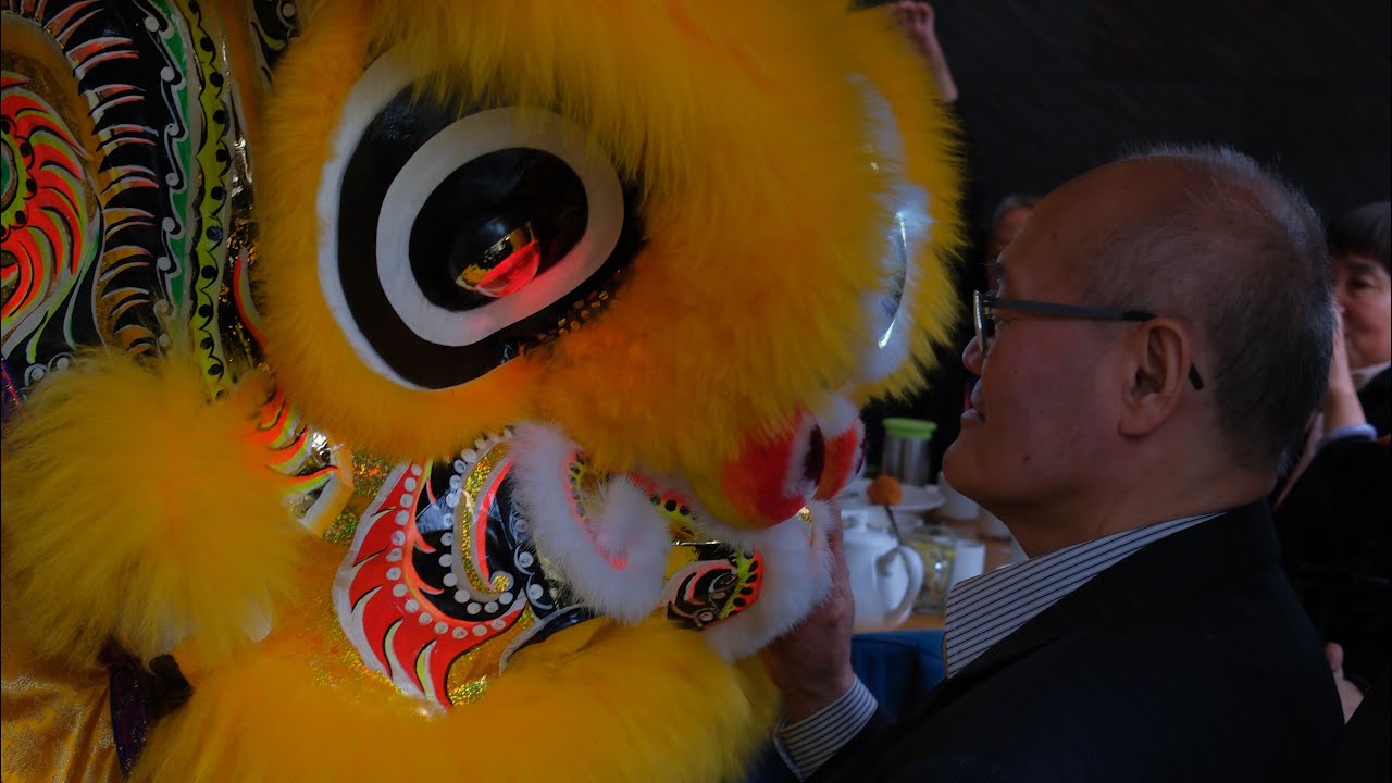 China Town Dim Sum Lion Dance Rotterdam - 2025