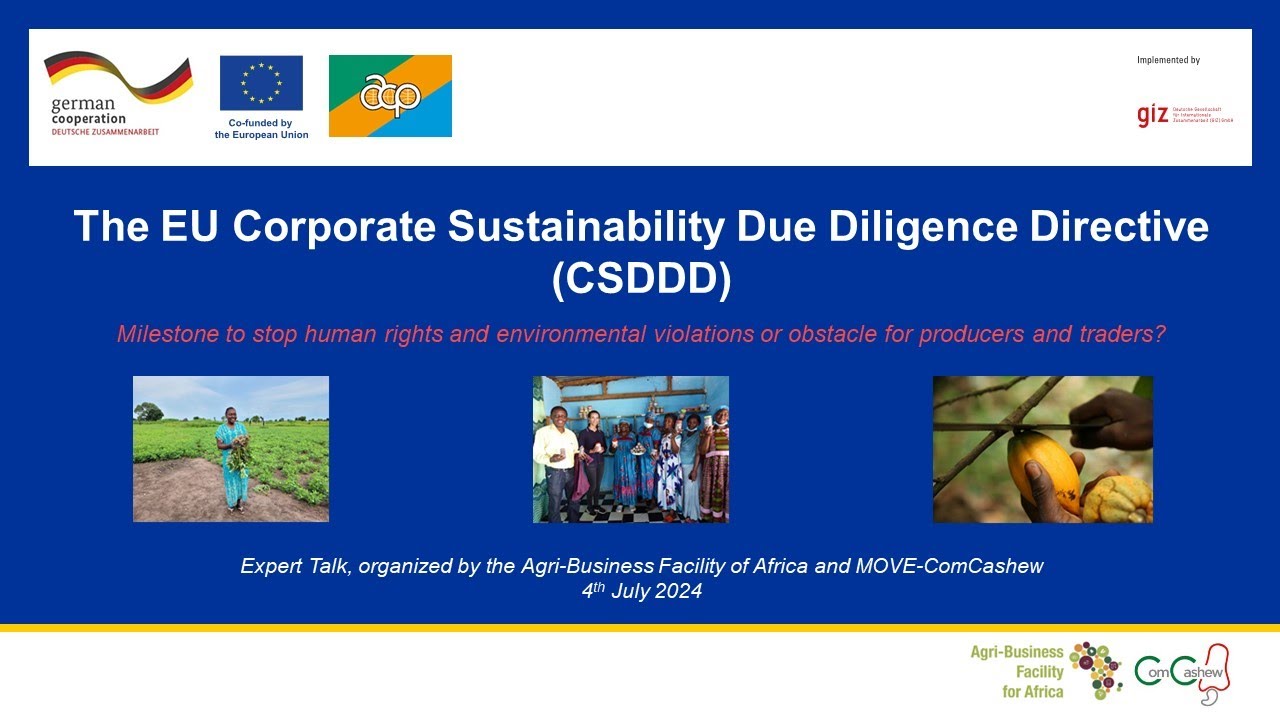 Expert talk 1: The EU Corporate Sustainability Due Diligence Directive (CSDDD)