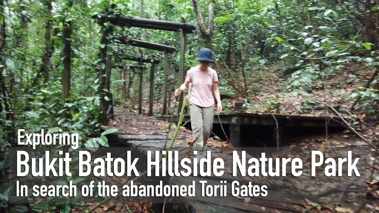 Exploring Bukit Batok Hillside Nature Park - In search of the abandoned Torii Gates [4K]