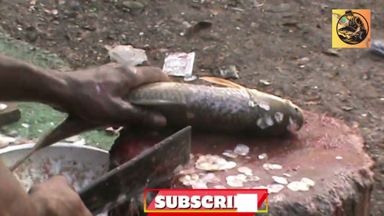 Mrigal Fish Cleaning & Chopping  Expert Technique