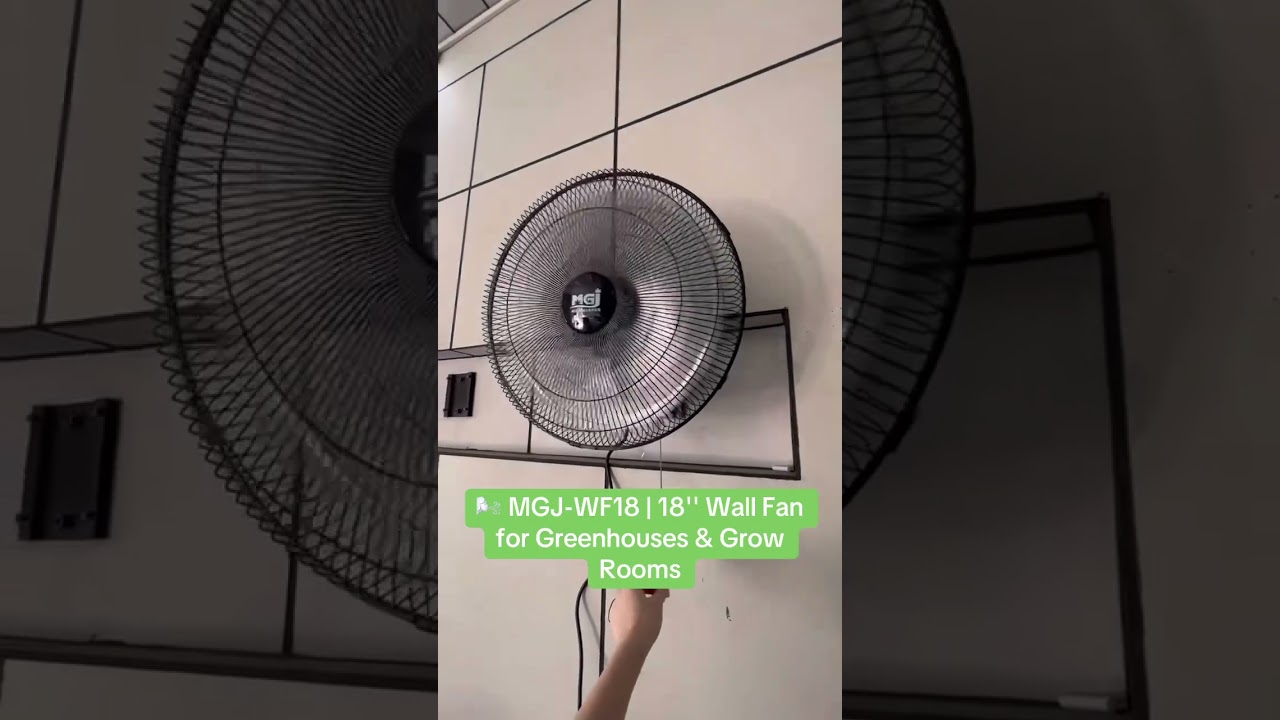 🌬️ MGJ-WF18 | 18'' Wall Fan for Greenhouses & Grow Rooms