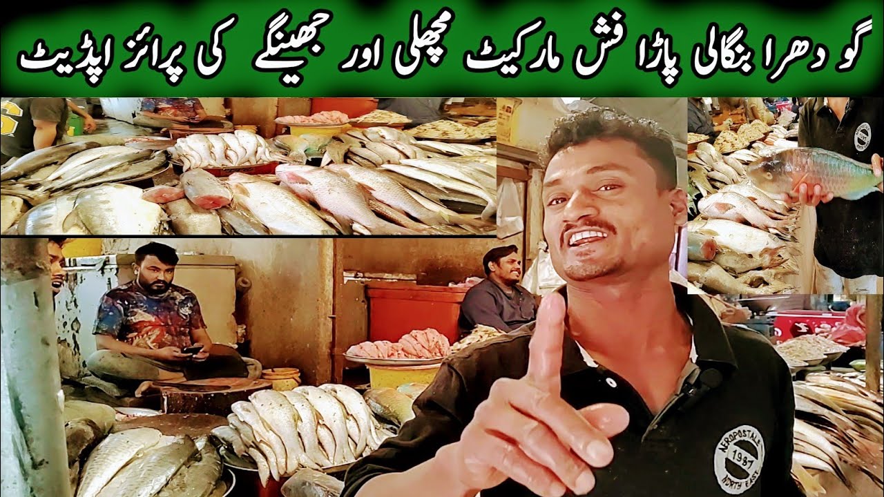 Bangali Para Fish Market Latest Price||Mini Bangladesh Karachi Fish Market|Fish & Jhinga Cheap Price