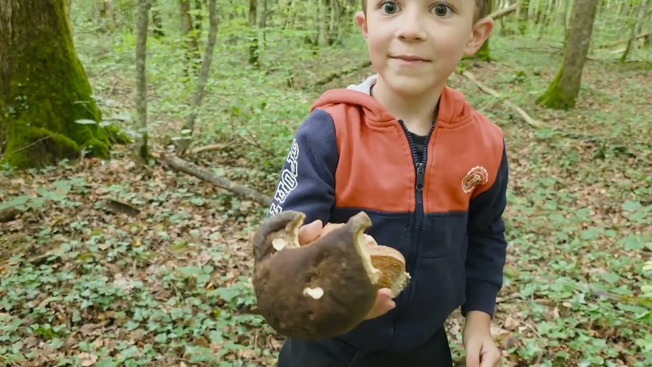 Cueillette de cèpes avec la relève , 13/09/25 !