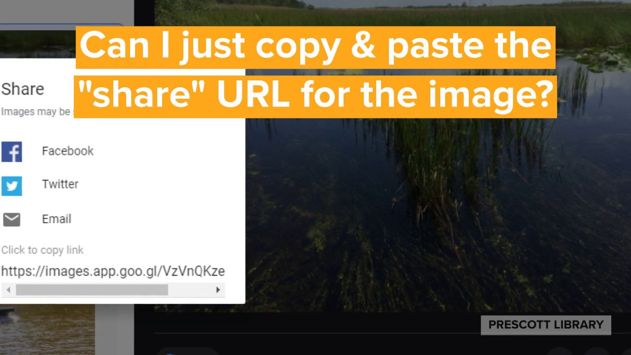 How to Cite Google Images