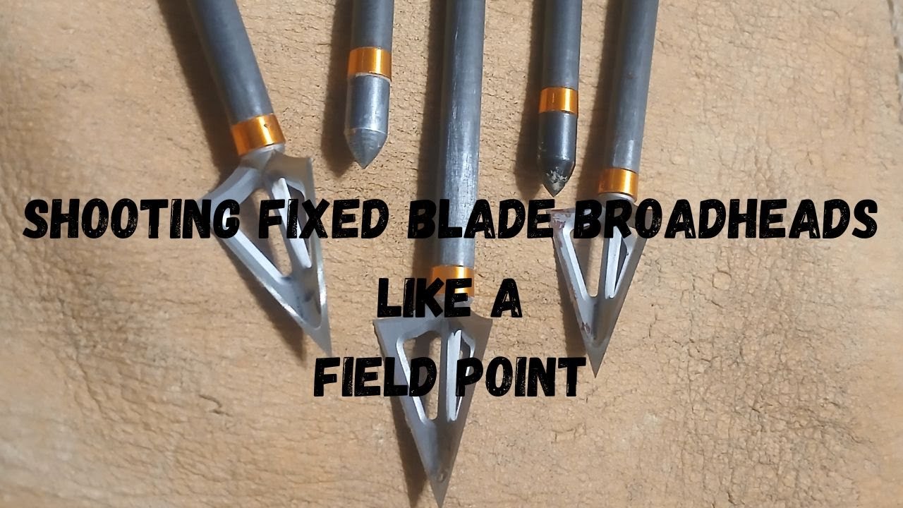 Стрельба с фиксированными наконечниками стрел, как с тренировочными наконечниками.