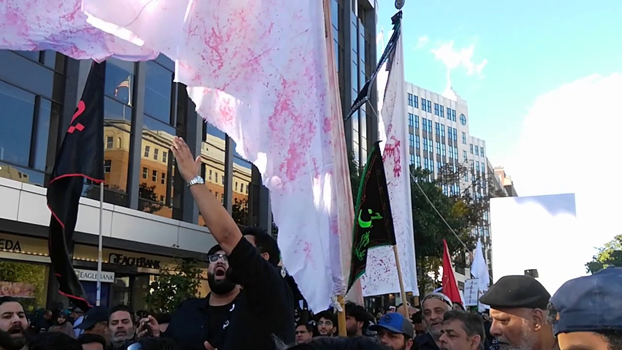 Noha Ali Raza Rizvi | Arbaeen in DC 2019 | America Azadari