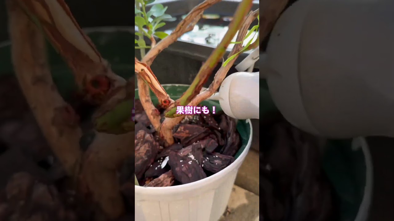 オルトラン撒きまくりDX