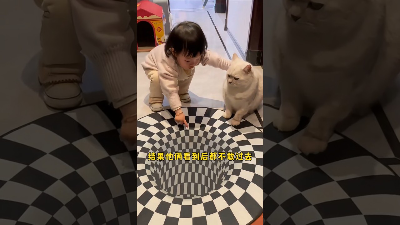 Girl Teaching Her Cat to Walk on a 3D Carpet #shorts #petethecat #catheart