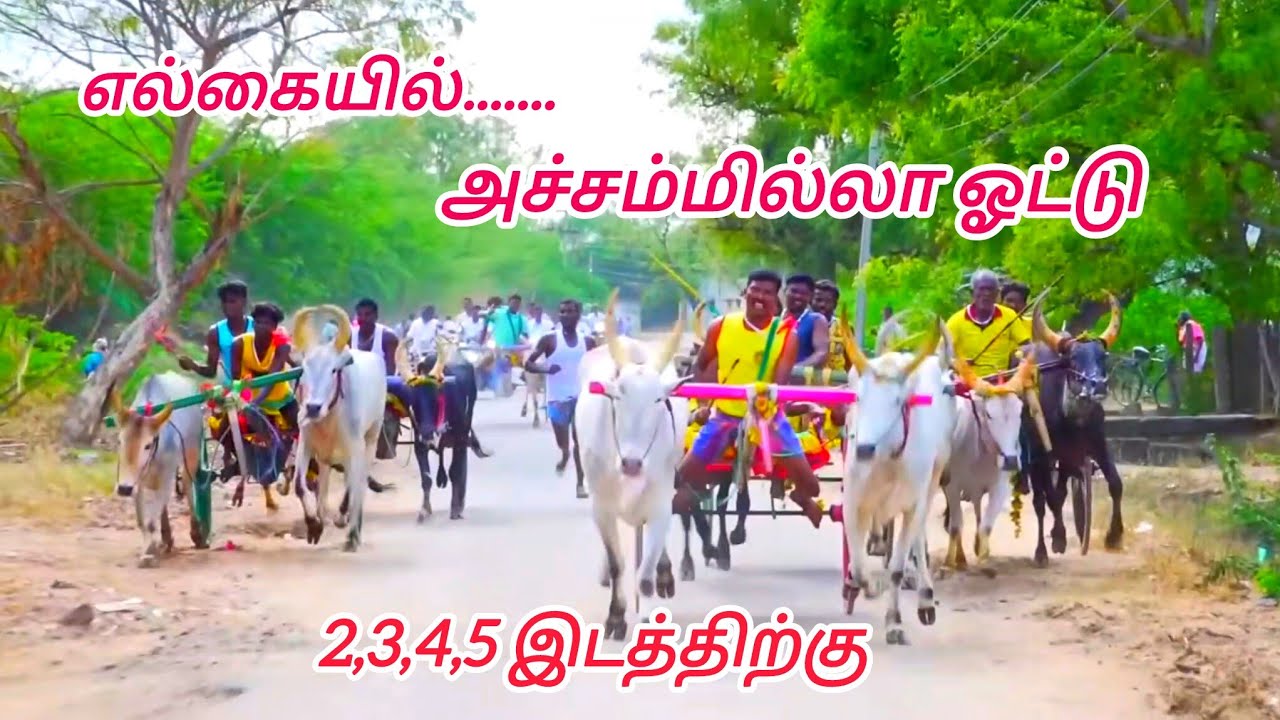 ஐந்து சாரதிகளும்💪 அச்சமில்லா ஓட்டு 🔥 எல்கையில் நடந்த போராட்டம் 💯