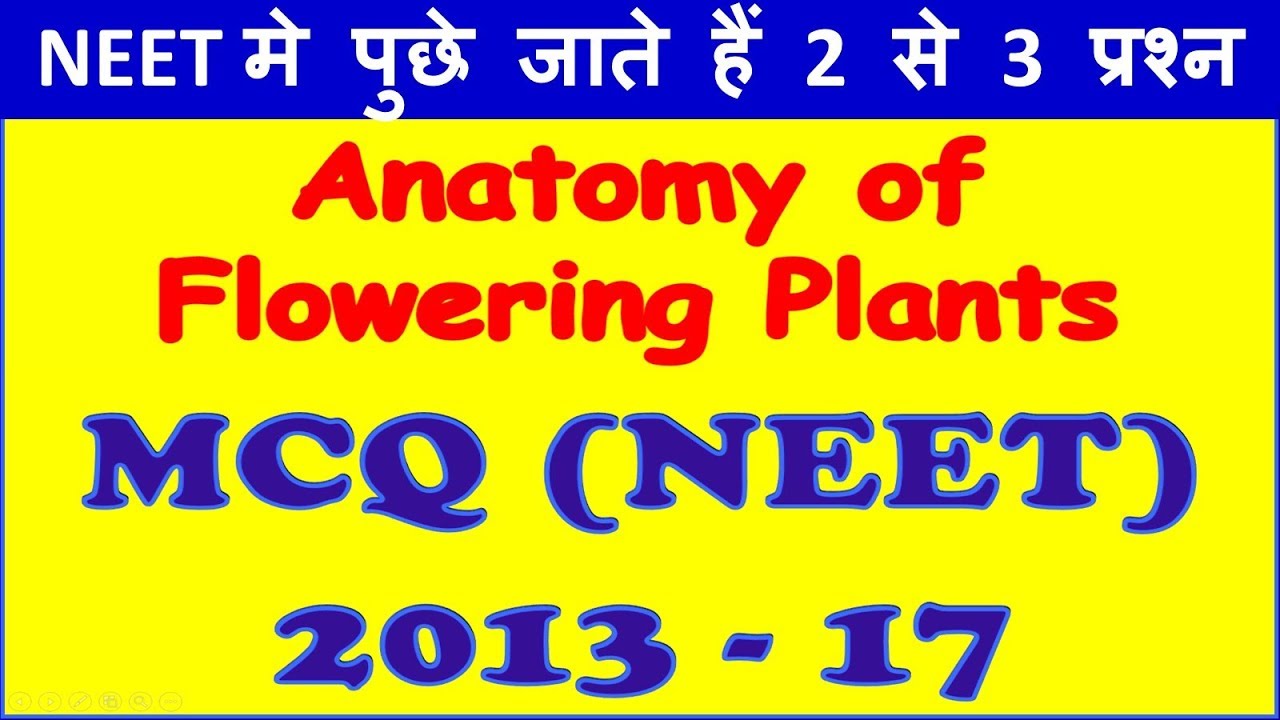 NEET MCQ | 2013 - 17 | ANATOMY OF FLOWERING PLANTS