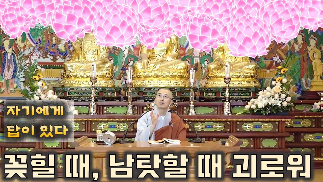 [육조12] 꽂힐 때, 사로잡힐 때, 남탓하며 조건을 탓할 때, 자기에게 답이 있다