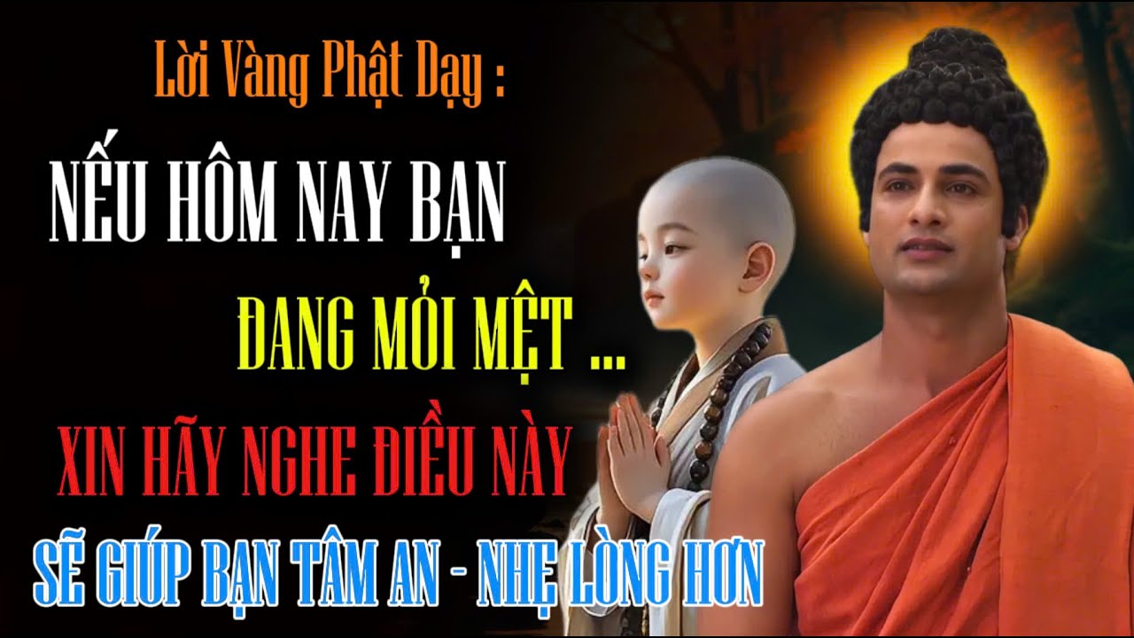 Lời Phật Dạy : Nếu Hôm Nay Bạn Đang Mỏi Mệt - Xin Hãy Lắng Nghe Điều Này, Sẽ Giúp Bạn Nhẹ Lòng Hơn