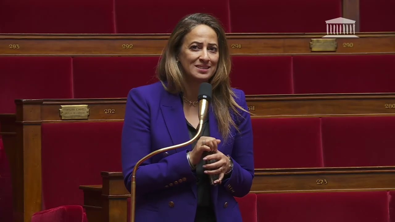 Amélia Lakrafi - 26 mars 2025 - séance publique