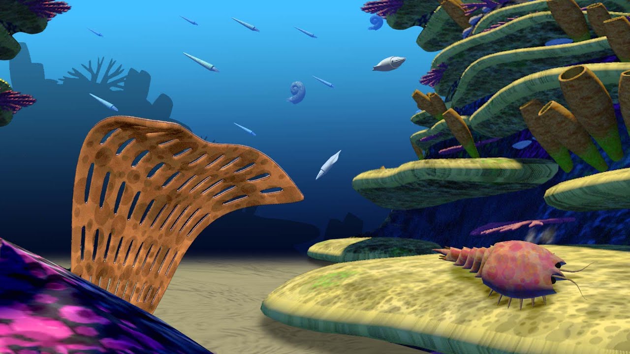 The Last Great Sponge Reefs