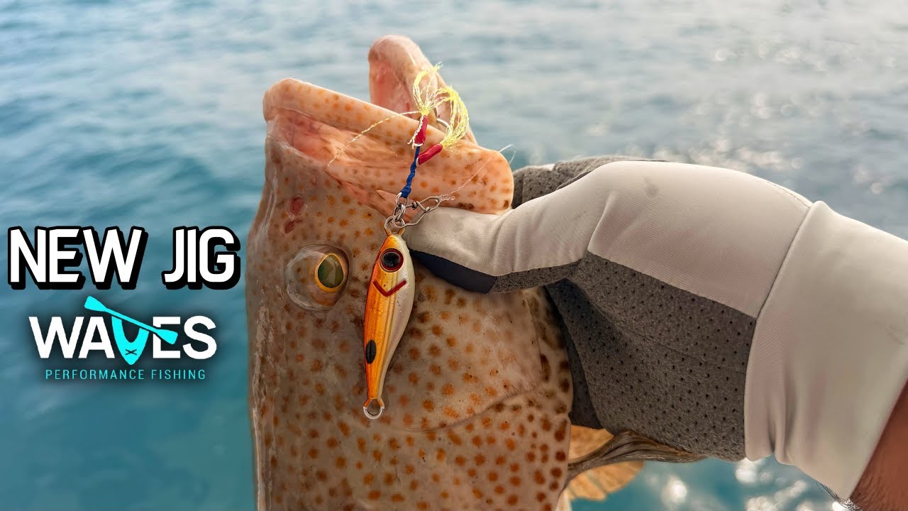 تجربة جق جديد و صيد هامور Trying New Jig And Catch Grouper