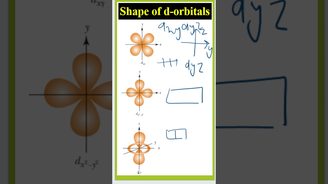 Shape of d-orbitals  