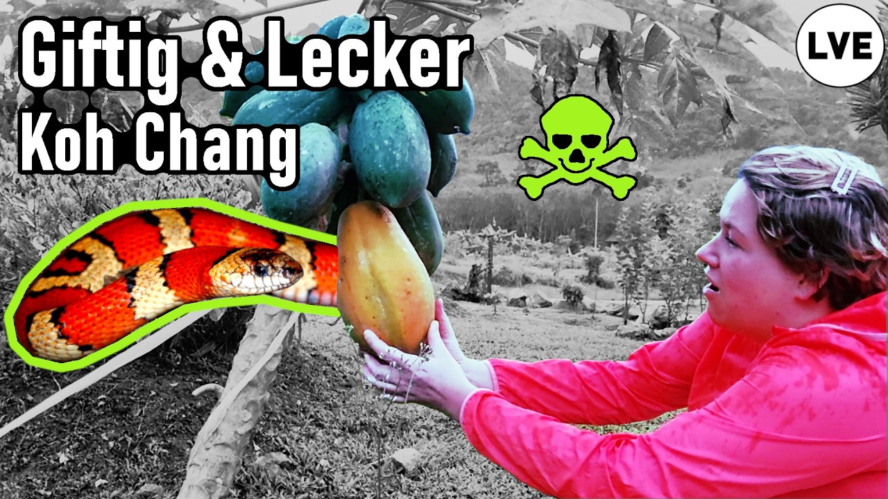 [1] Tödliche Gefahr auf Koh Chang Thailand [DE]
