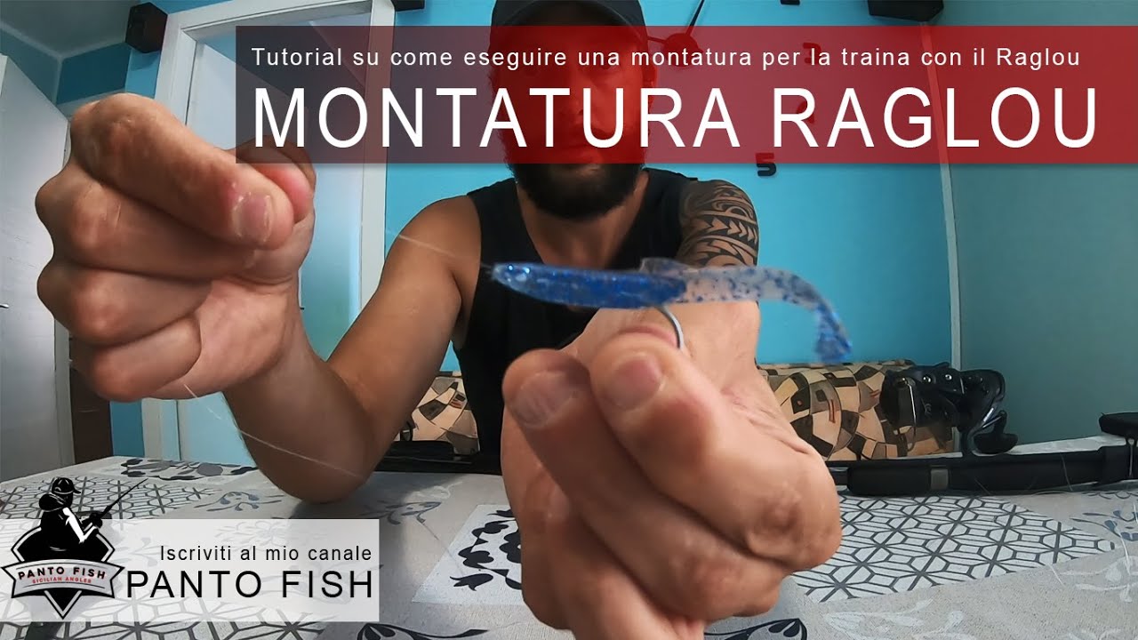 Montatura traina con Raglou