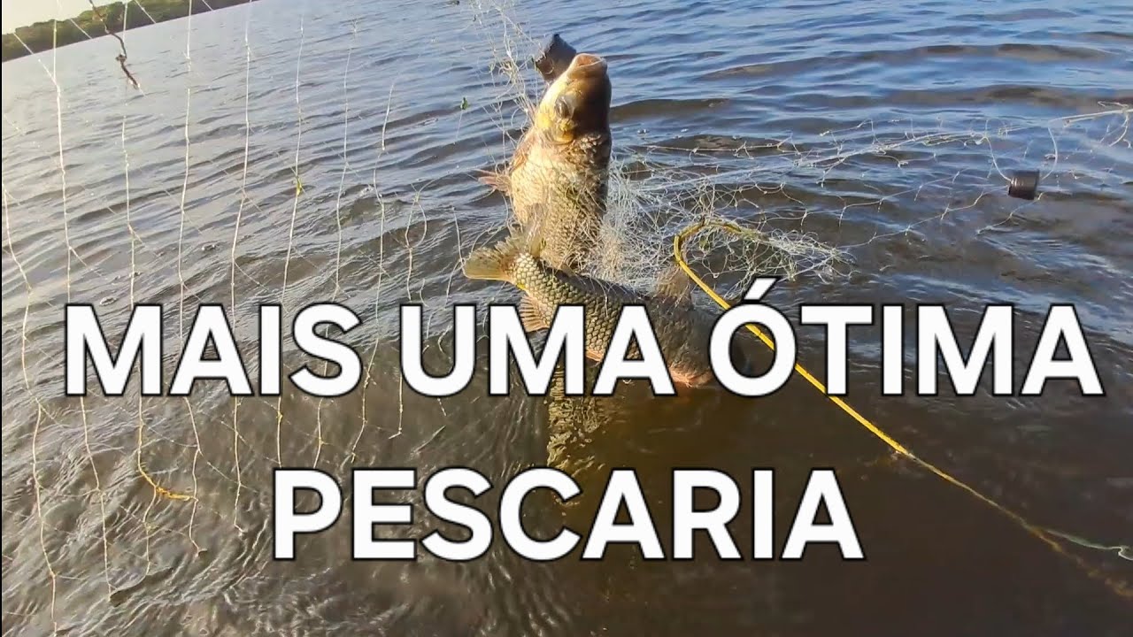 Mais uma &oacute;tima pescaria de malhadeira uo gal&atilde;o 