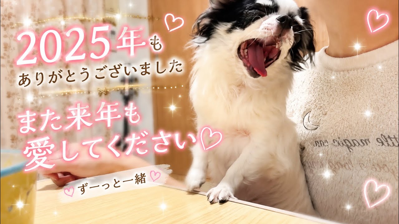 2025年のもこ納め♩