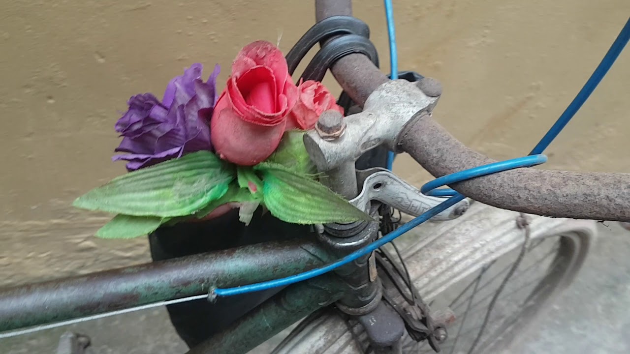 xe đạp thống nhất