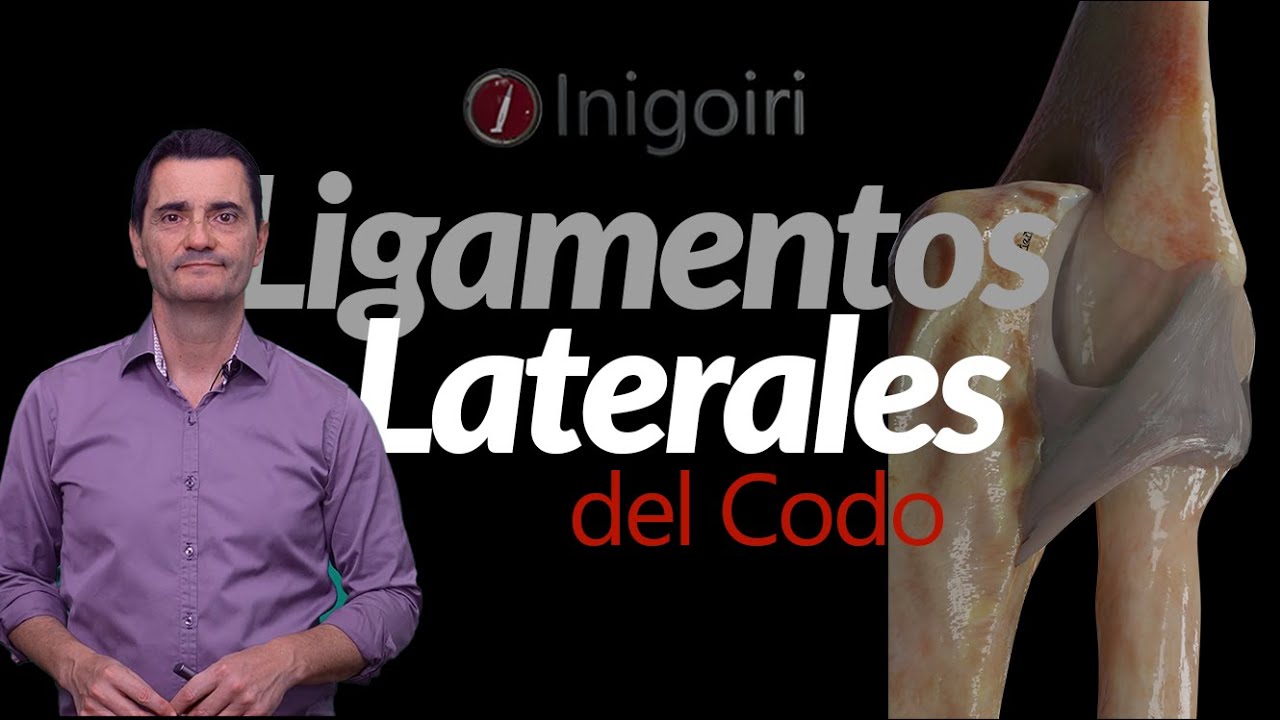 Ecografía de ligamento colateral lateral del codo