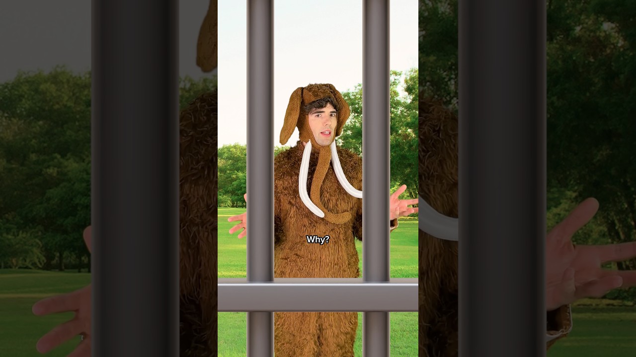 Bringing back the mammoth