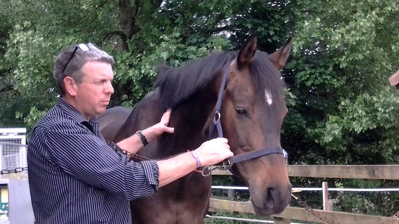 Andy Eckley Trigger point therapy at Lisa Smith Eventing
