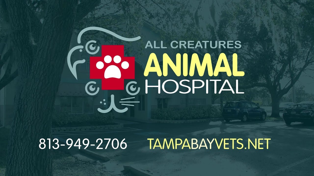 Welcome to All Creatures Animal Hospital
