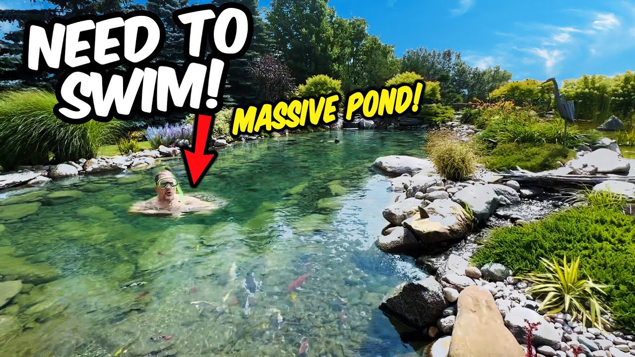 GIANT Backyard Pond GREAT For a Swim
