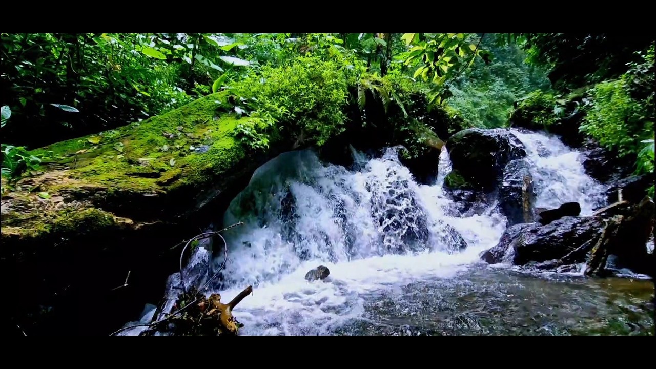Natural River White Noise  Pure Water Sounds for Relaxation