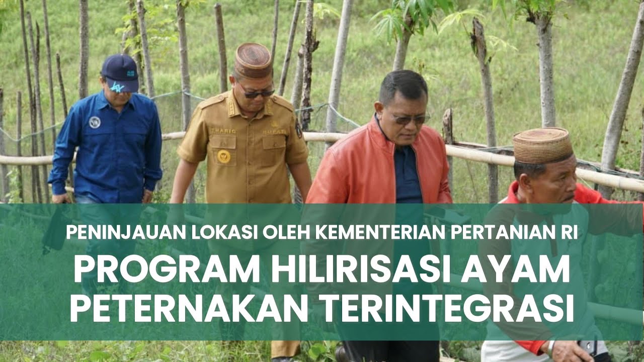PENINJAUAN LOKASI BERSAMA TIM KEMETERIAN PERTANIAN | PROGRAM HILIRISASI AYAM PETERNAKAN TERINTEGRASI