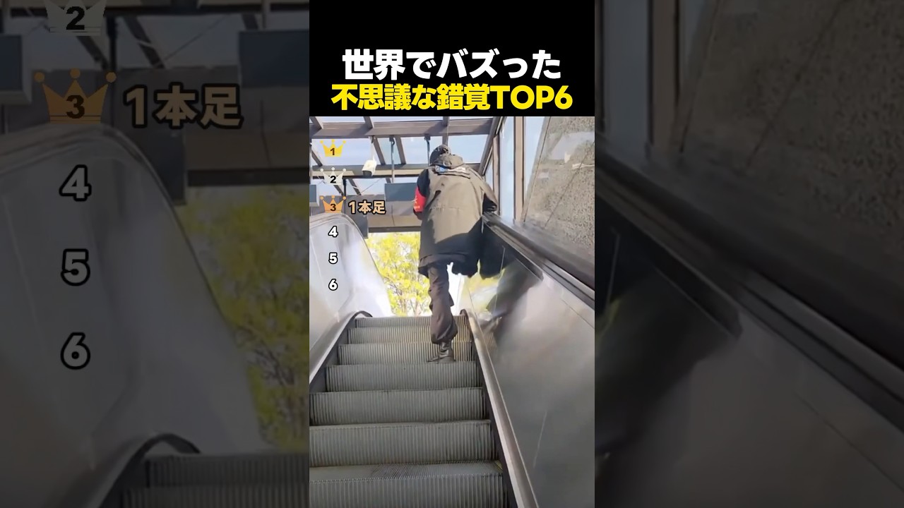 世界でバズった不思議な錯覚ランキング