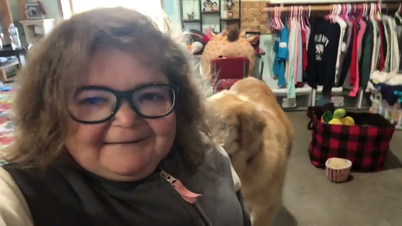Madvlog