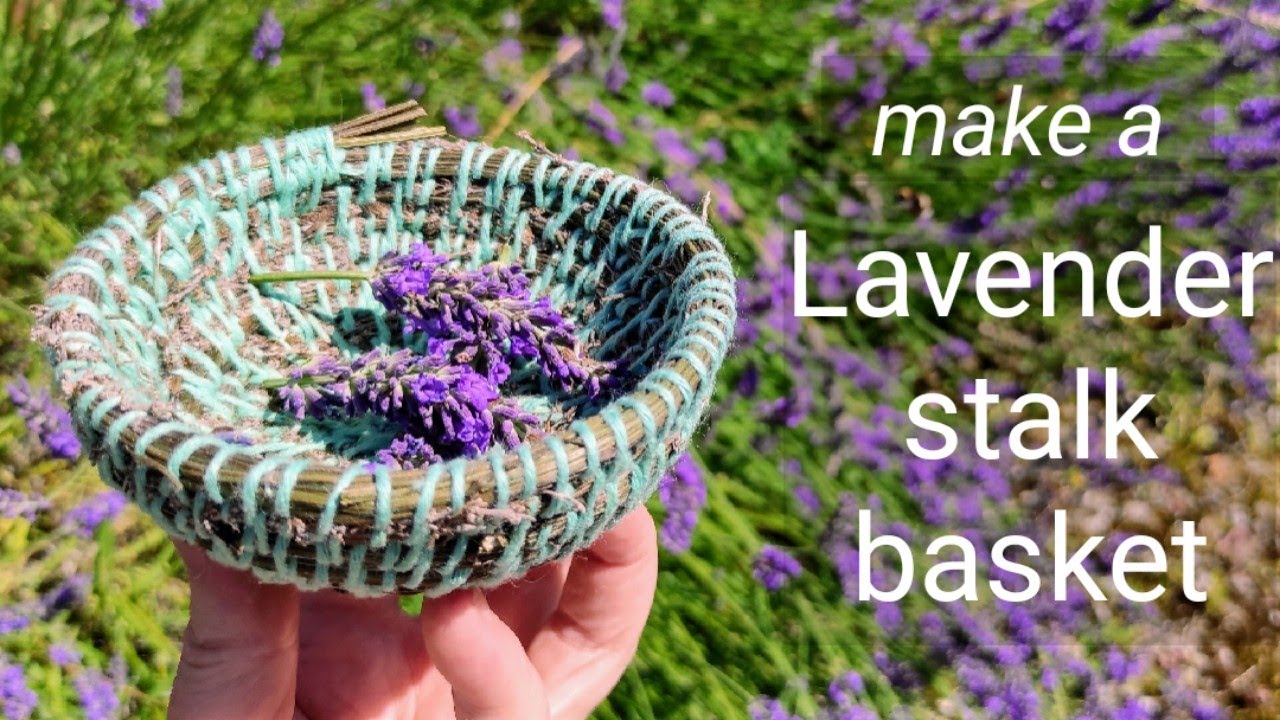 Make a Lavender Stalk Basket
