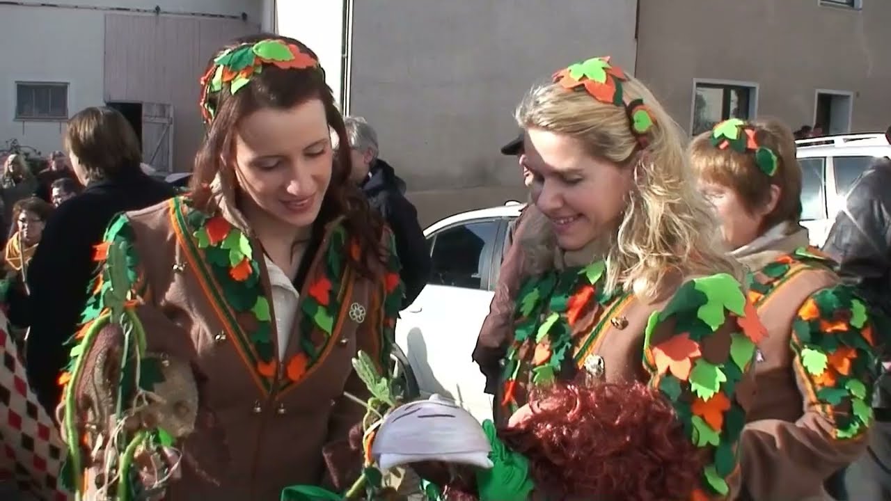 Maskenvorstellung der Woldschebberer 2014