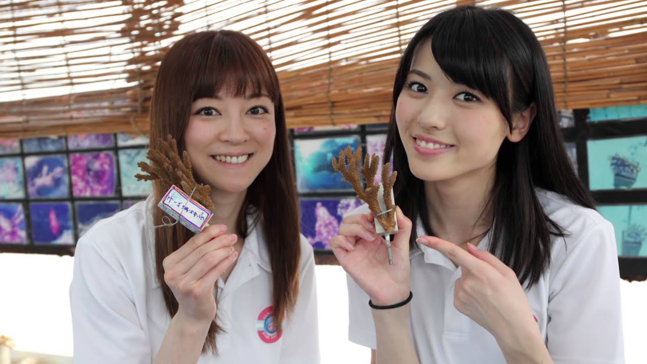吉澤ひとみ＆℃-ute矢島舞美 チーム美らサンゴ活動報告2015