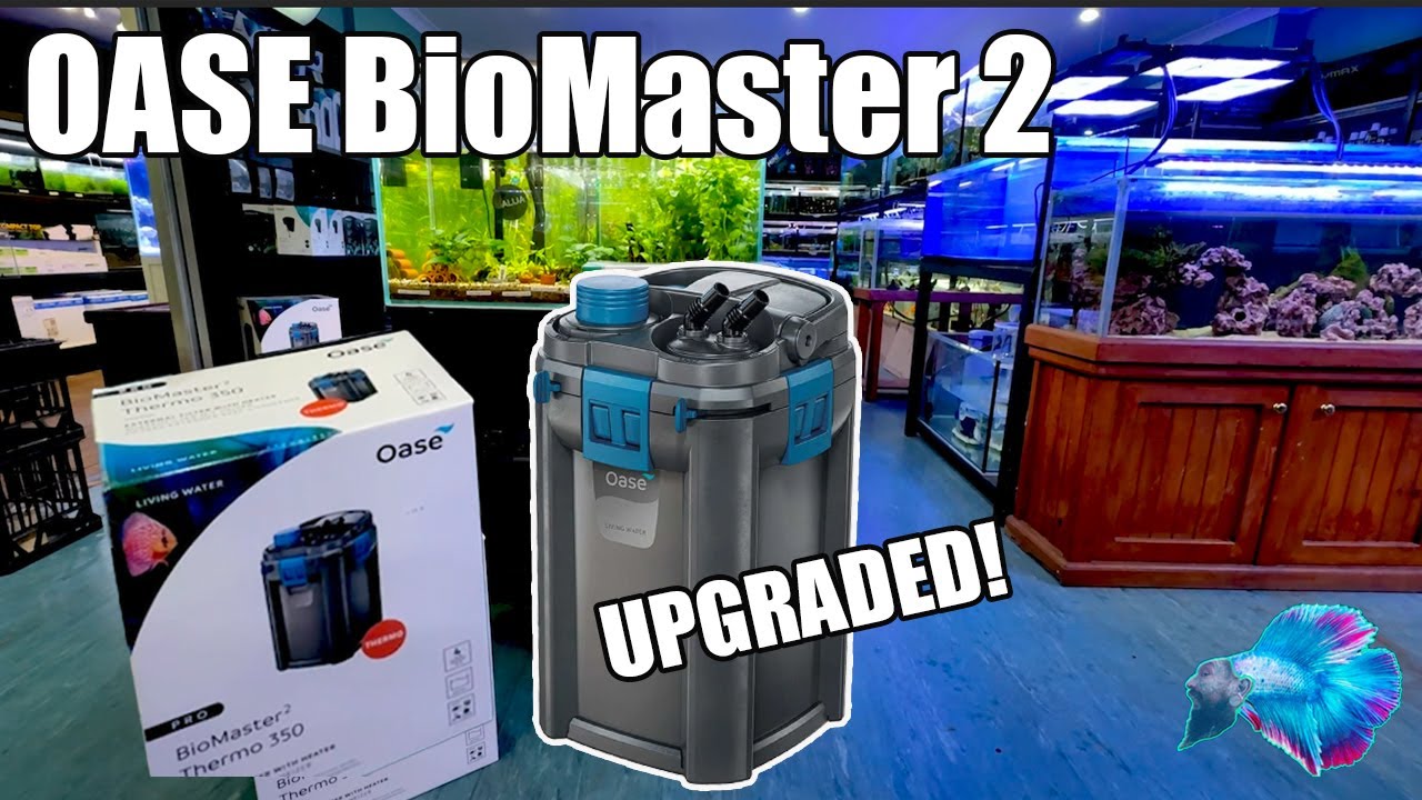 КАНИСТРОВЫЙ ФИЛЬТР OASE BioMaster 2! ЧТО НОВОГО?