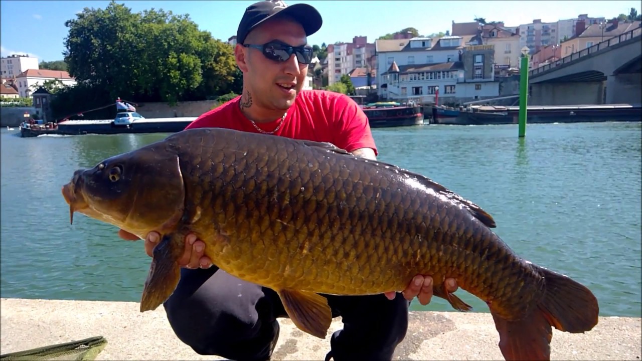 SUMMER STREET FISHING : LA PÊCHE DE LA CARPE EN SEINE