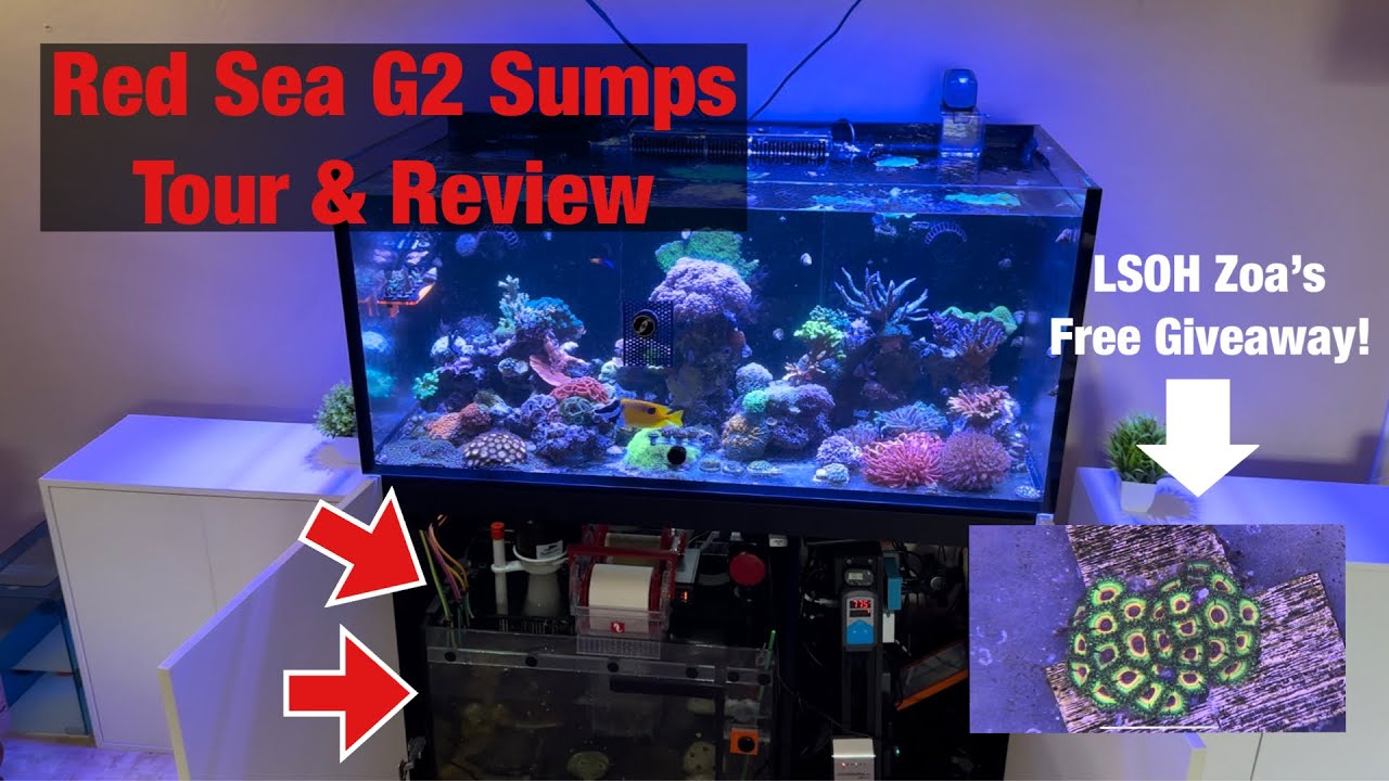 Tour & Review of the New Red Sea G2 Sumps