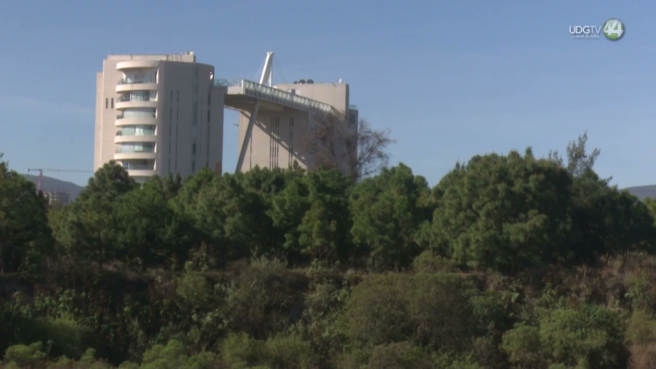 Prodeur, sin denuncias contra inmobiliarias en inmediaciones de La Primavera y Colomos