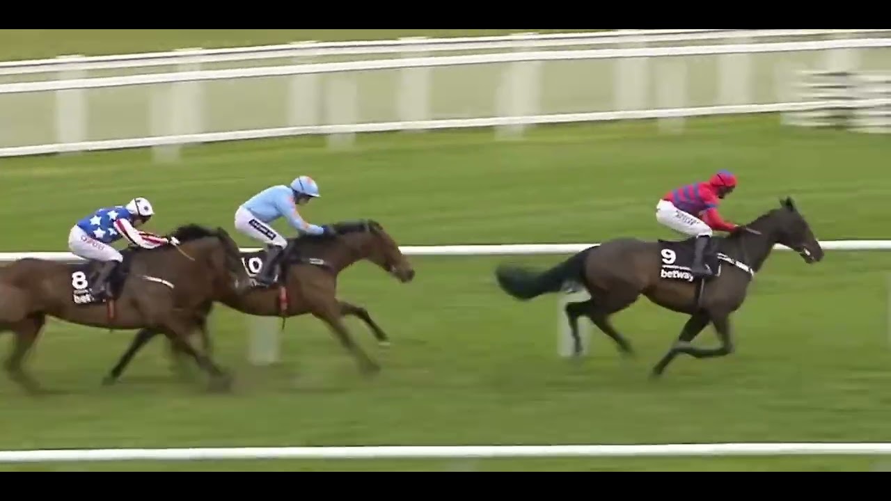 SPRINTER SACRE - regained his Champion Chase crown in 2016.

What a comeback, great story still...