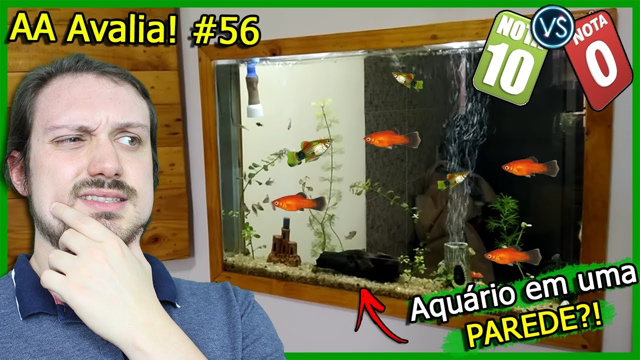 Um Aquário feito em uma PAREDE! Deu certo?! - AA Avalia #56