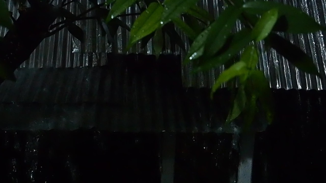 Непрерывный дождь на жестяной крыше 🌧️ Мгновенный сон 🌙