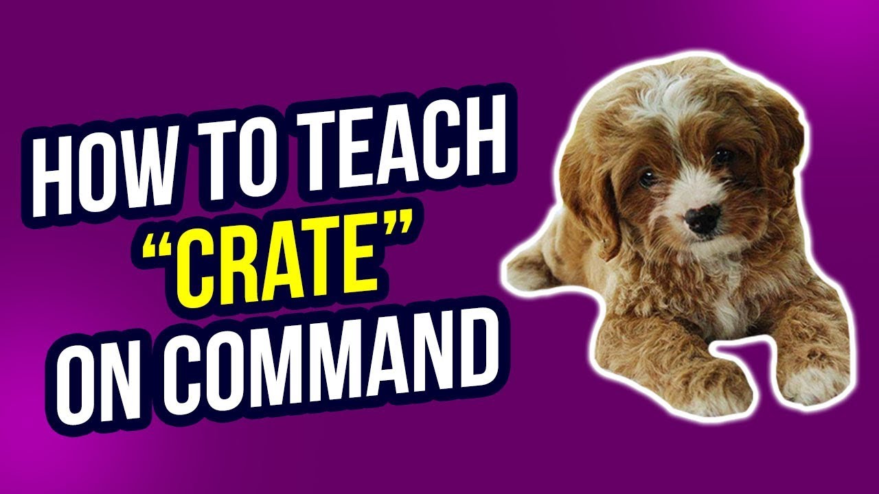 THE IMPORTANCE OF TEACHING 