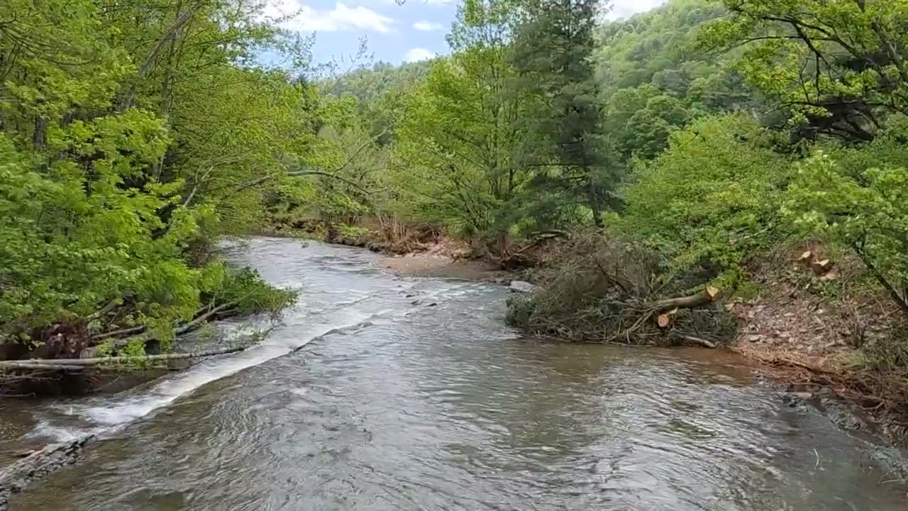 Savage River 20250517