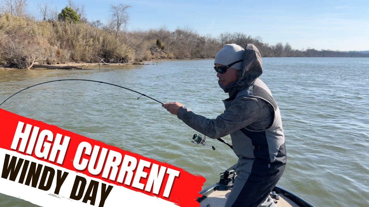 Chickamauga Lake North End - Sewee Creek