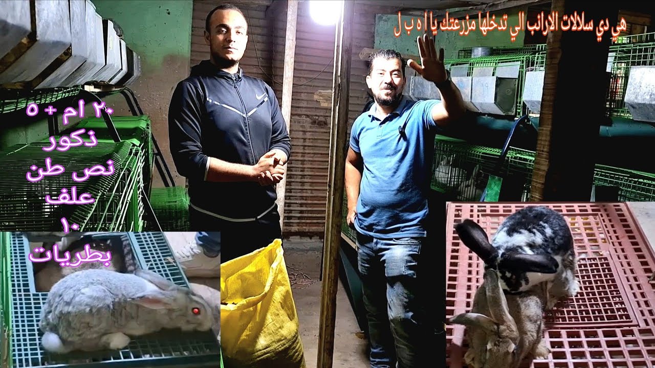 لو انت فاكر انهم هيسبوك بعد ما نصبت عليهم في سلالات الارانب لا ياحبيبي دا انا الي هقفلك