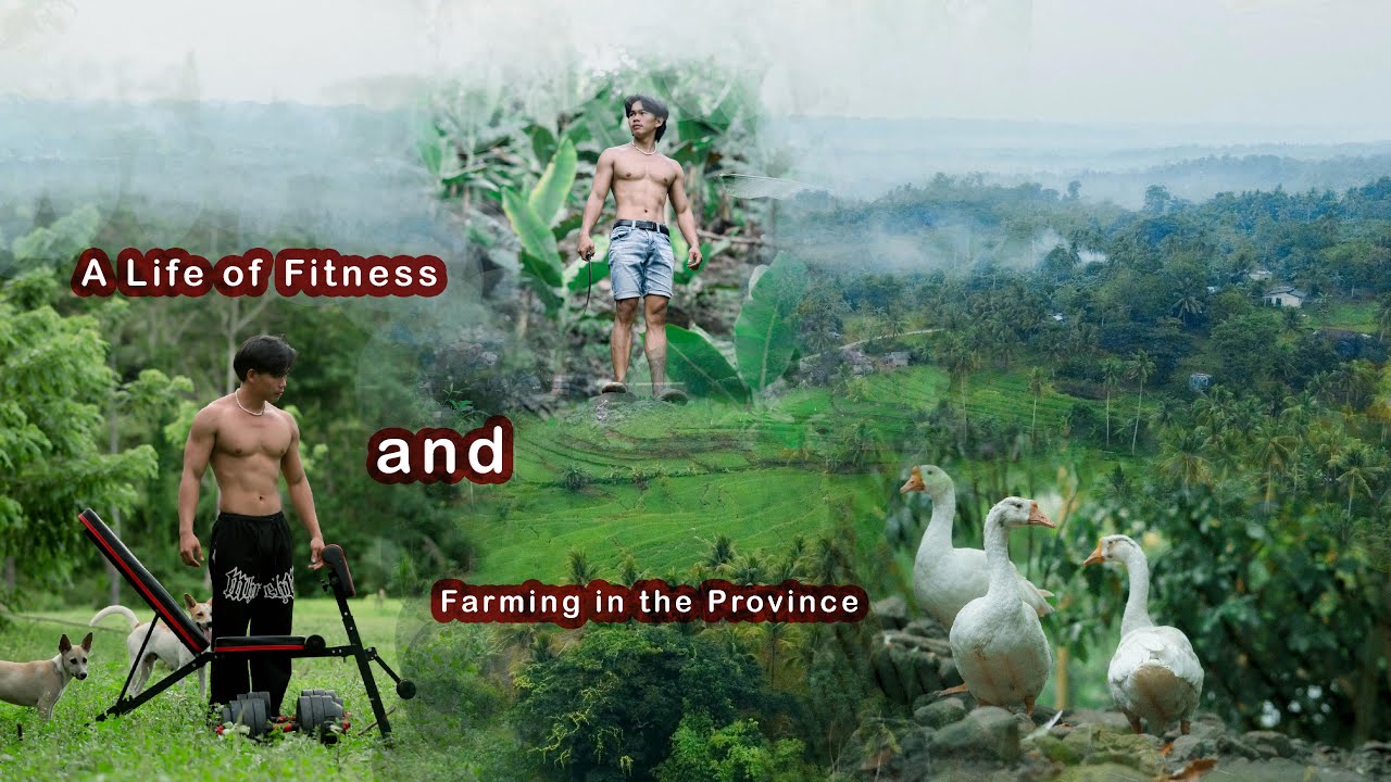 Why I Chose the Province Life | First Steps to Fit & Farm