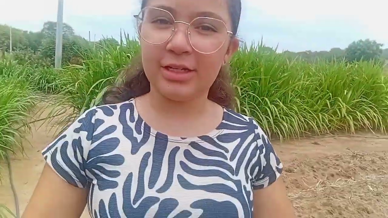 A CASA DO FAZENDEIRO ESTA CORTADA